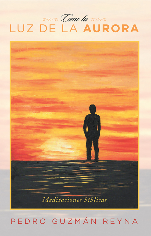 Cover image for book Como La Luz De La Aurora