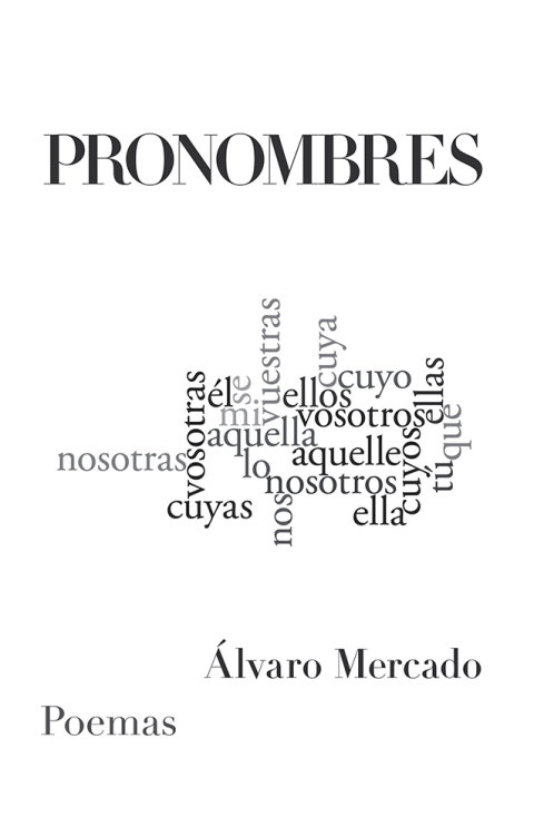 Cover image for book Pronombres