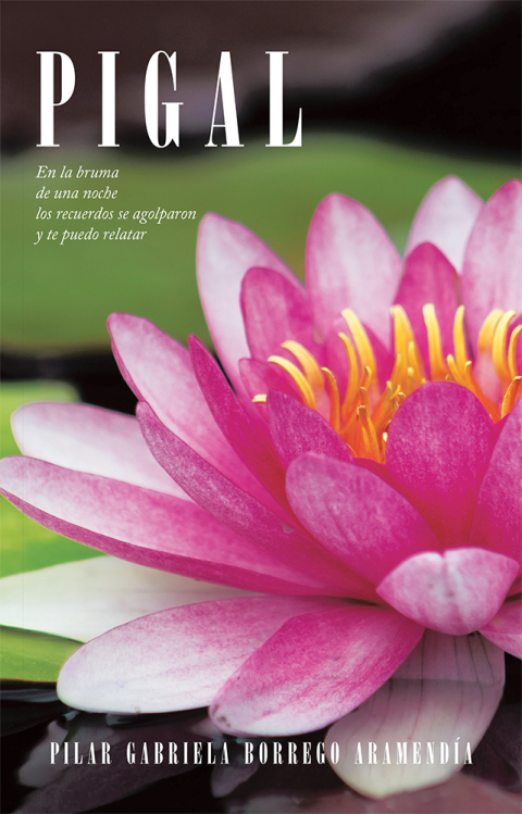 Cover image for book Pigal