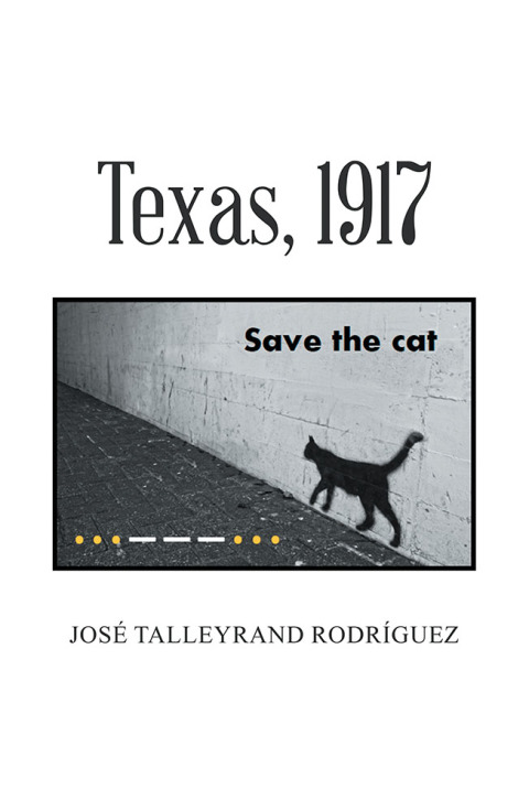 Cover image for book Texas, 1917