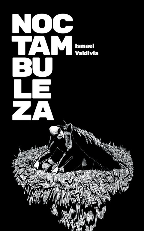 Cover image for book Noctambuleza