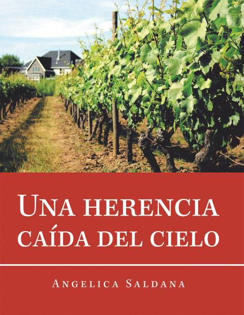 Cover image for book Una Herencia Caída Del Cielo