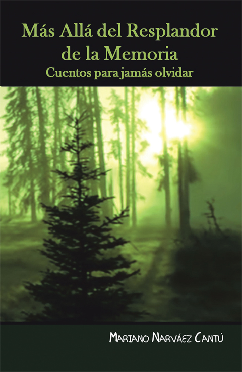 Cover image for book Más Allá Del Resplandor De La Memoria