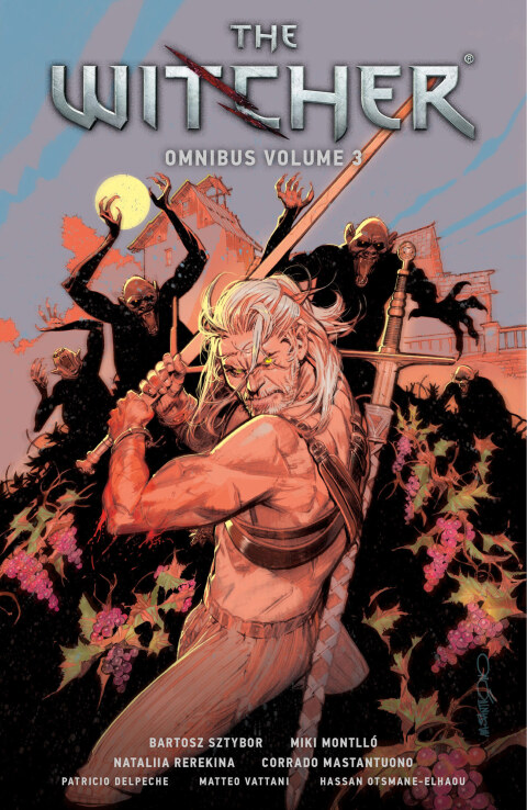 Cover image for book The Witcher Omnibus Volume 3
