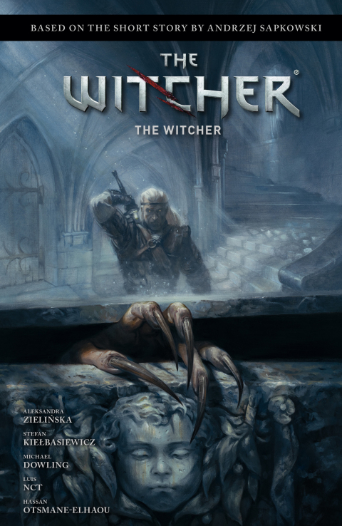 Cover image for book Andrzej Sapkowski's The Witcher: The Witcher