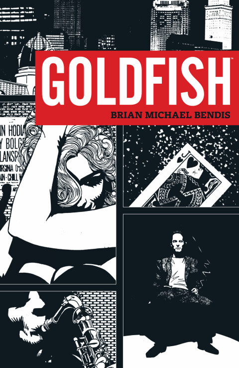 Cover image for book Goldfish