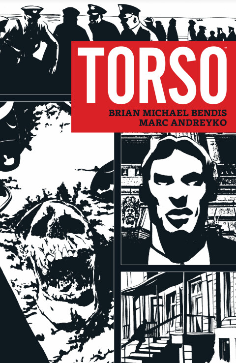 Cover image for book Torso