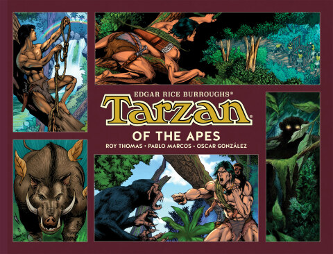 Cover image for book Tarzan of the Apes
