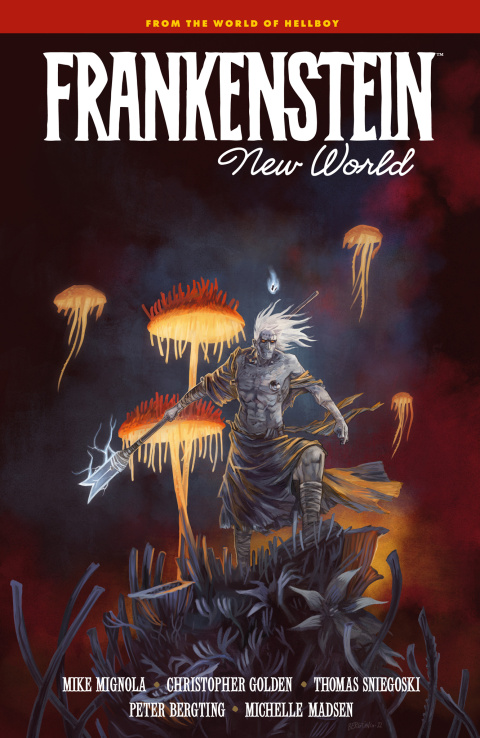 Cover image for book Frankenstein: New World