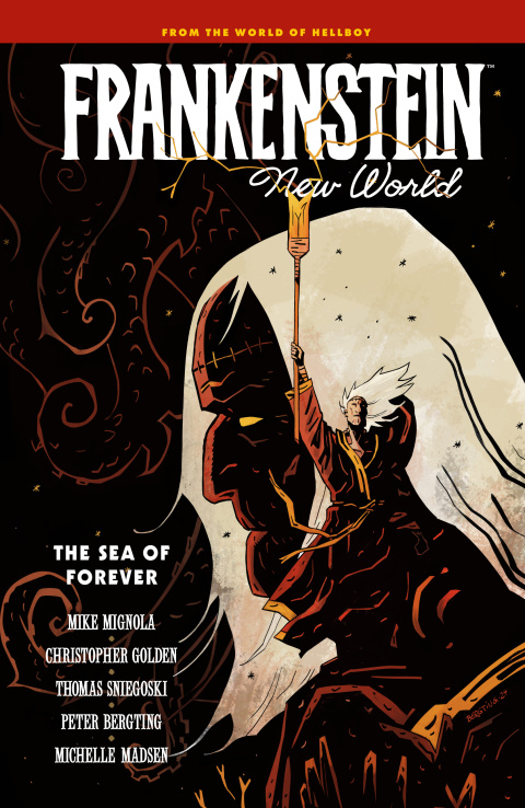 Cover image for book Frankenstein: New World Volume 2--The Sea of Forever