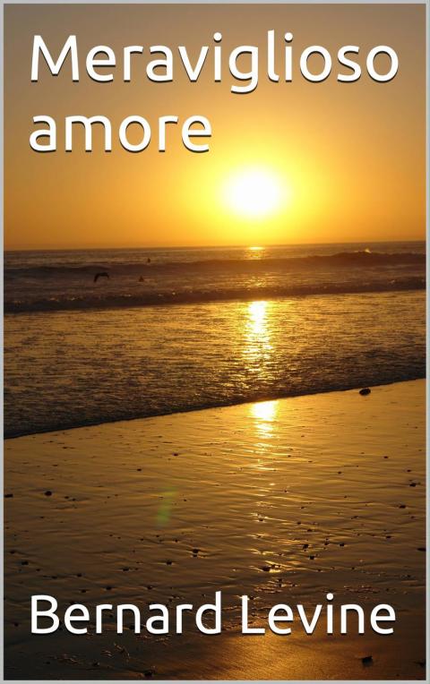 Cover image for book Meraviglioso amore