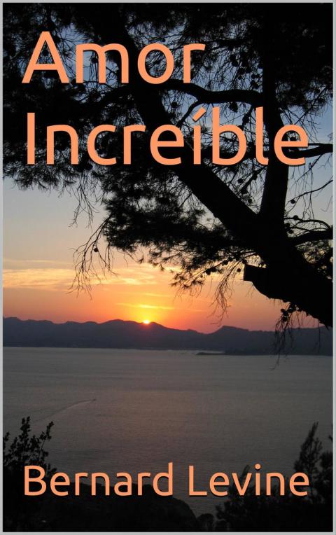 Cover image for book Amor Increíble