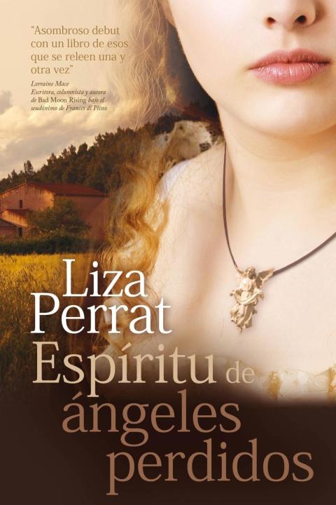Cover image for book Espíritu de ángeles perdidos