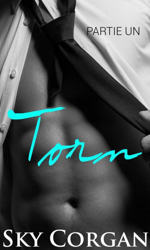 Cover image for book Torn