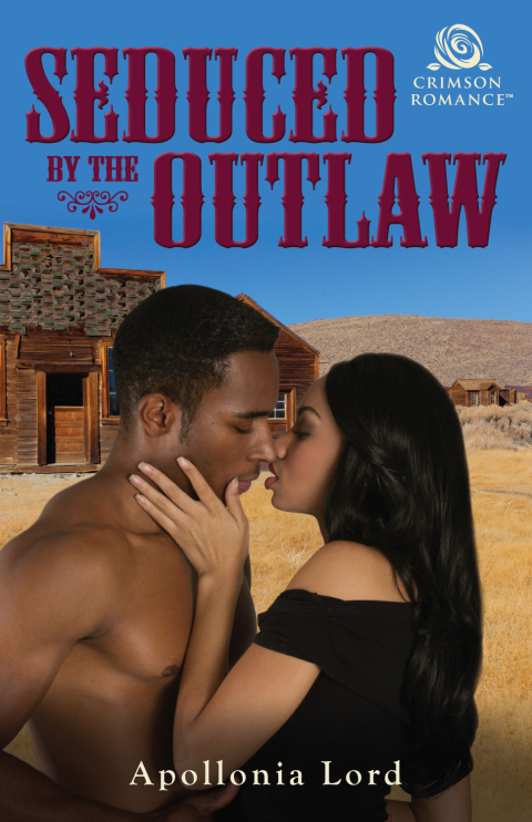 Cover image for book Seduced by the Outlaw