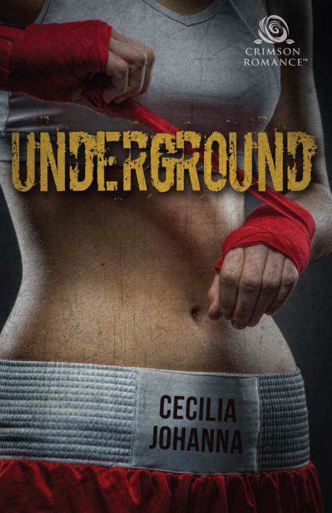 Cover image for book Underground