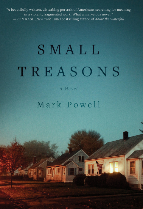Cover image for book Small Treasons