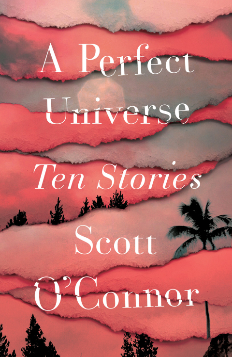 Cover image for book A Perfect Universe