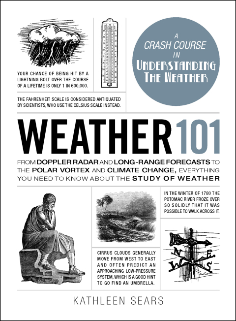 Cover image for book Weather 101