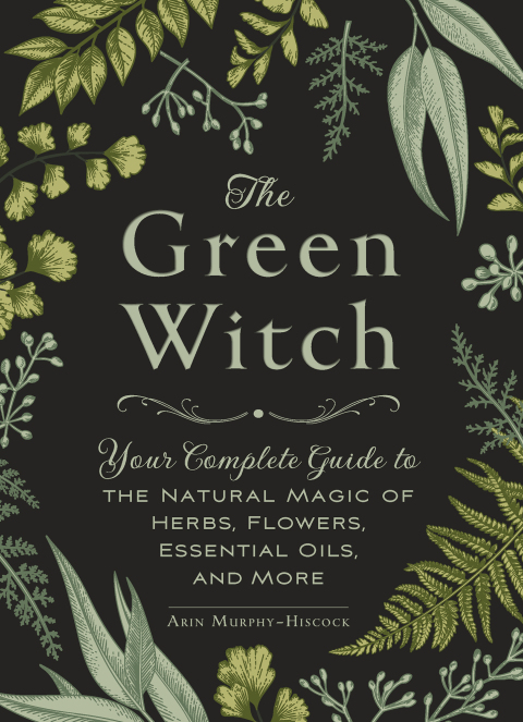 Cover image for book The Green Witch