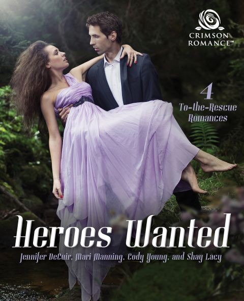 Cover image for book Heroes Wanted
