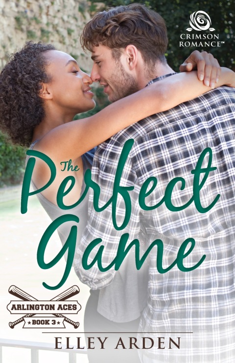Cover image for book The Perfect Game
