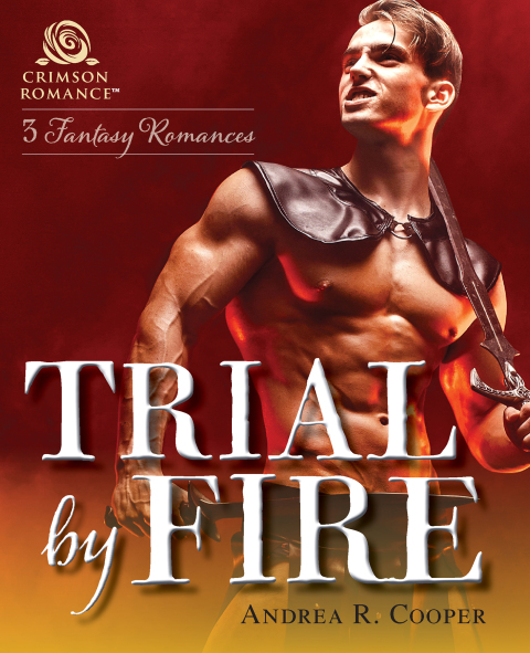 Cover image for book Trial by Fire