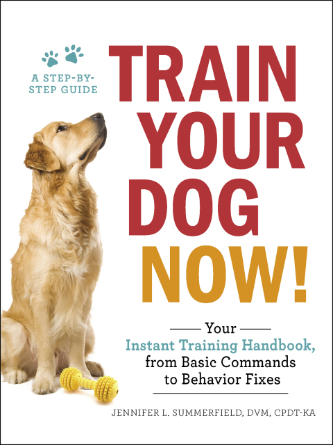 Cover image for book Train Your Dog Now!