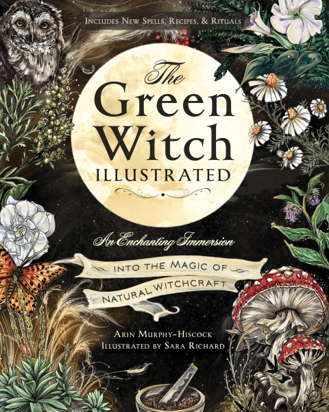 Cover image for book The Green Witch Illustrated