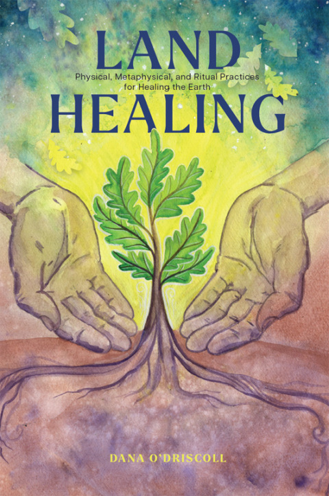 Cover image for book Land Healing