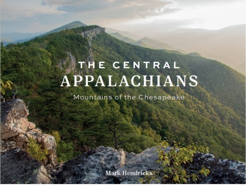 Cover image for book The Central Appalachians