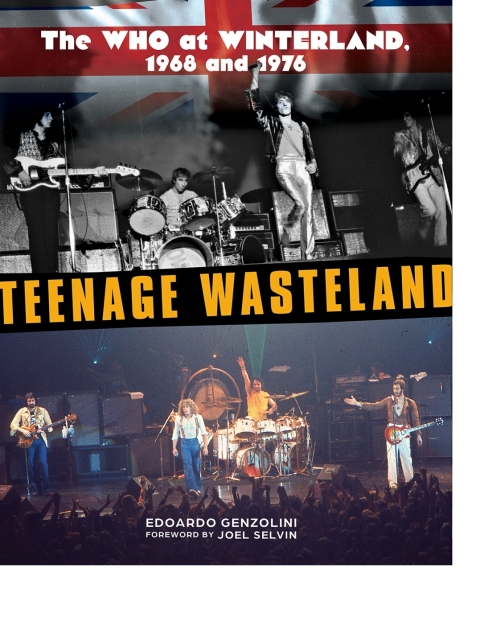 Cover image for book Teenage Wasteland