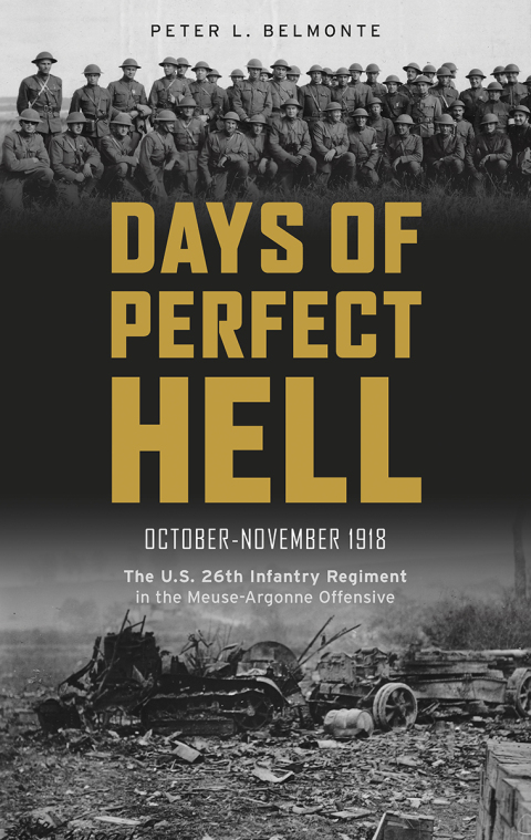 Cover image for book Days of Perfect Hell