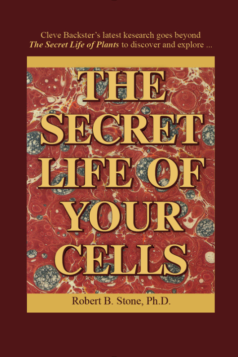 Cover image for book The Secret Life of Your Cells