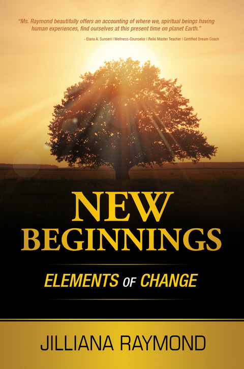 Cover image for book New Beginnings