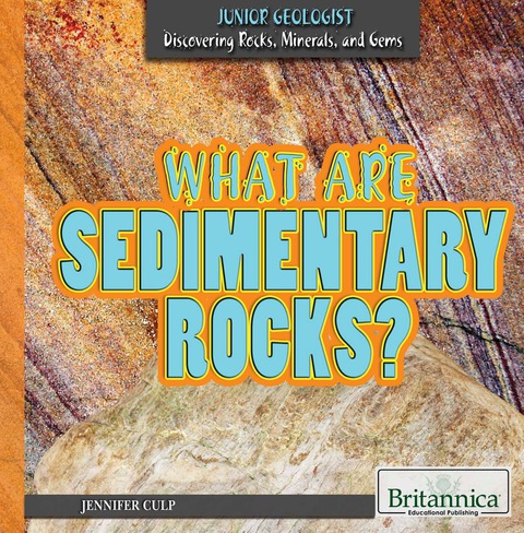 Cover image for book What Are Sedimentary Rocks?