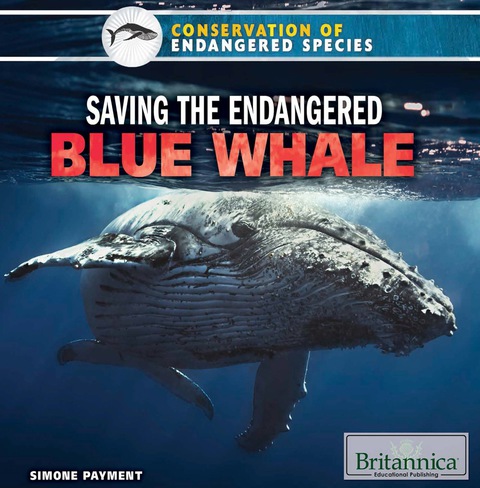 Cover image for book Saving the Endangered Blue Whale