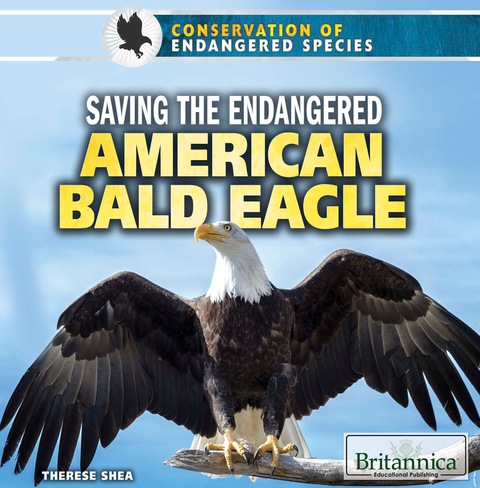 Cover image for book Saving the Endangered American Bald Eagle