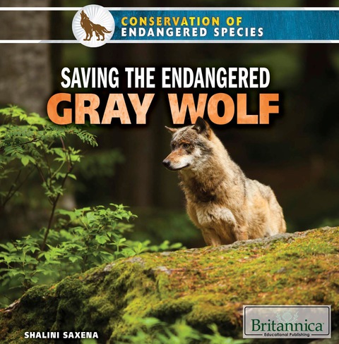 Cover image for book Saving the Endangered Gray Wolf