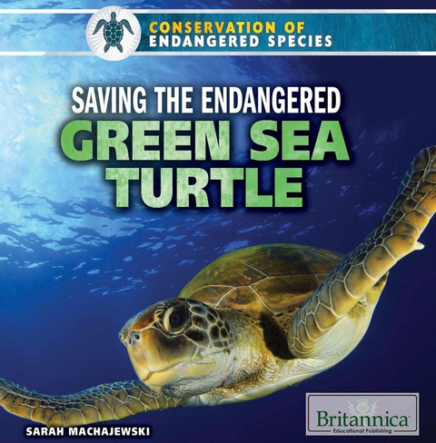 Cover image for book Saving the Endangered Green Sea Turtle