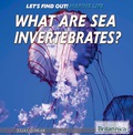 What Are Sea Invertebrates? - Julia Quinlan