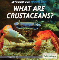 Cover image: What Are Crustaceans? 1st edition 9781508103851