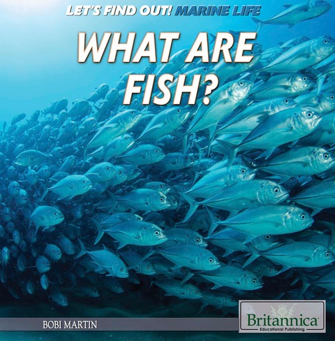 Cover image for book What Are Fish?