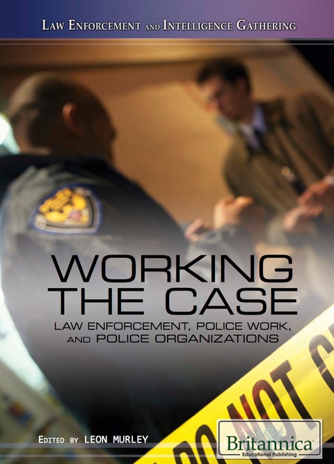 Cover image for book Working the Case