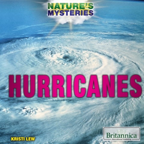 Cover image for book Hurricanes