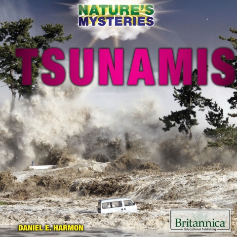 Cover image for book Tsunamis