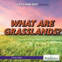 Cover image: What Are Grasslands? 1st edition 9781508106968
