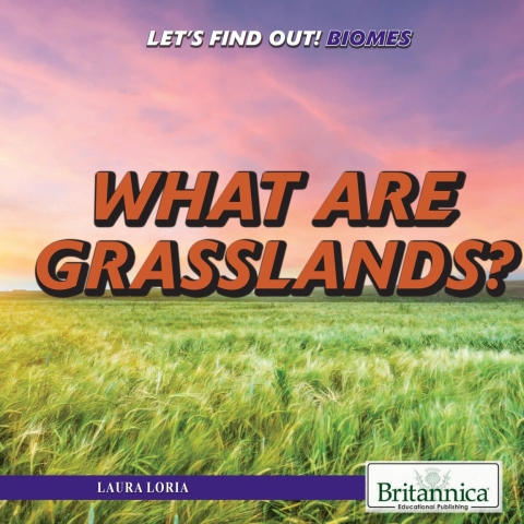 Cover image for book What Are Grasslands?