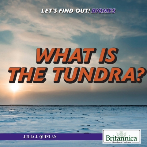 Cover image for book What Is the Tundra?