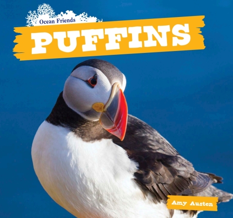 Cover image for book Puffins